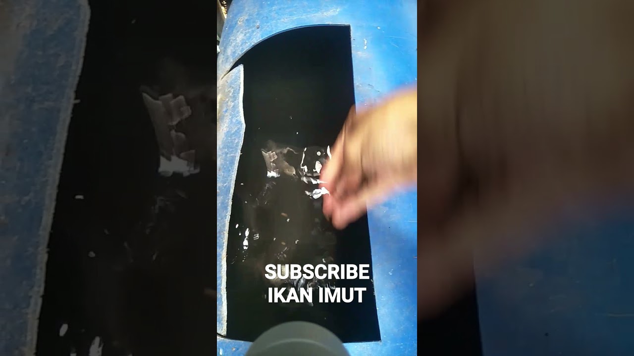 maxresdefault 5