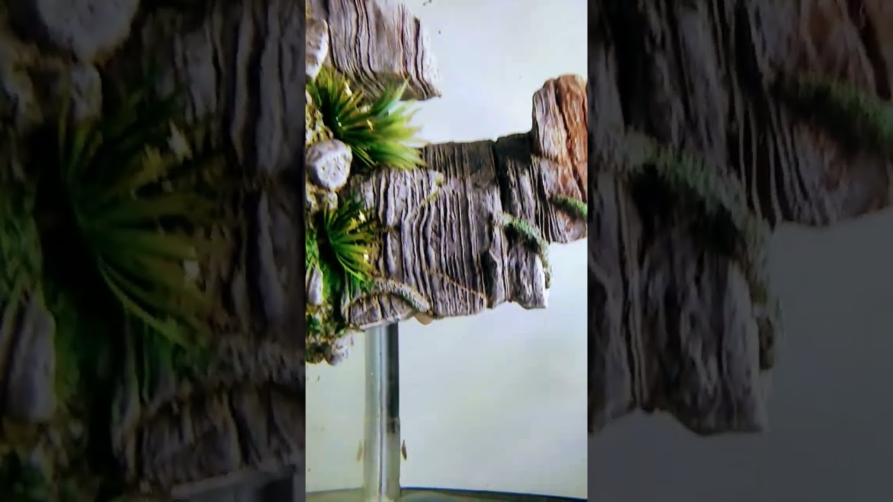 maxresdefault 4